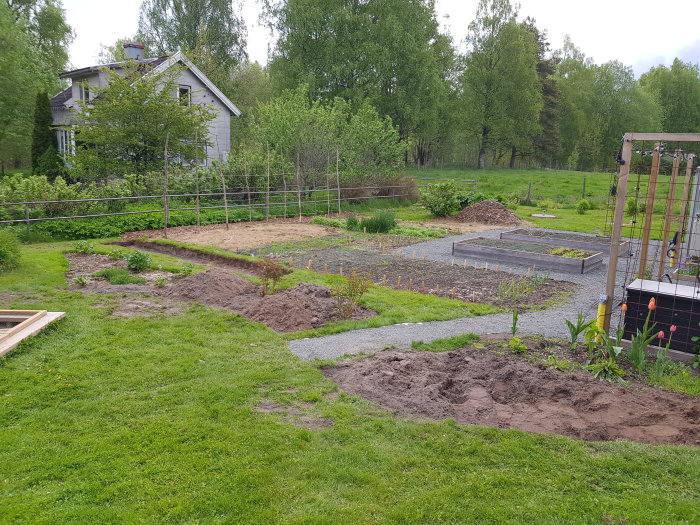 Nygrävd gångväg mellan rabatt och grönsaksland i en trädgård med hus i bakgrunden.