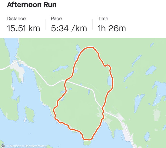 Kartskärmdump med rutt för en eftermiddagslöpning som markerat 15,51 km lång sträcka, tidtagning 1h 26m och tempo 5:34 per km.
