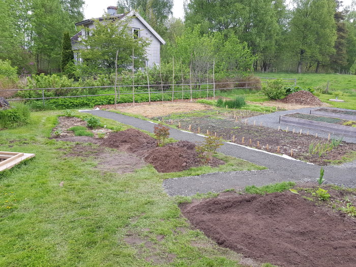 Nygrävd gångväg kantad med bergkross i en grönskande trädgård med planteringsbäddar och gräshögar.