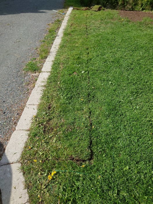 Grävd ränna längs med en gräsbevuxen kant vid en väg, förberedd för plantering.