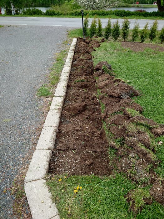 Nygrävd blomsterbädd längs en kantsten med stenig jord, redo för plantering.