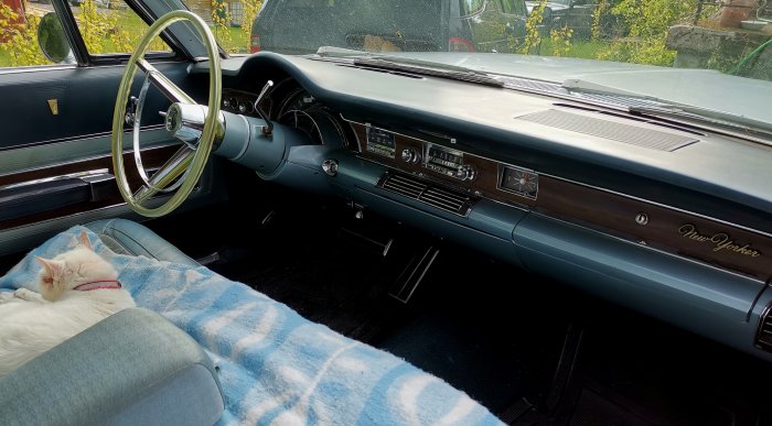 Vit katt sover på blått täcke i framsätet av en klassisk bil med öppen passagerardörr.