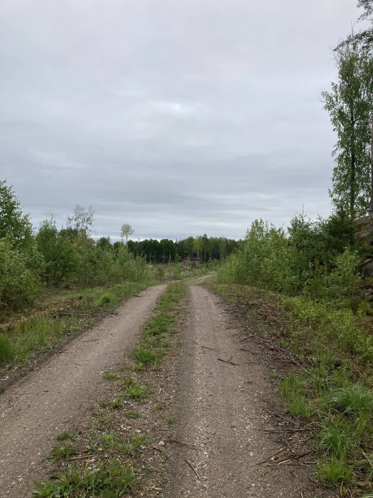 Grusväg genom skogsmark med gröna träd och molnig himmel.