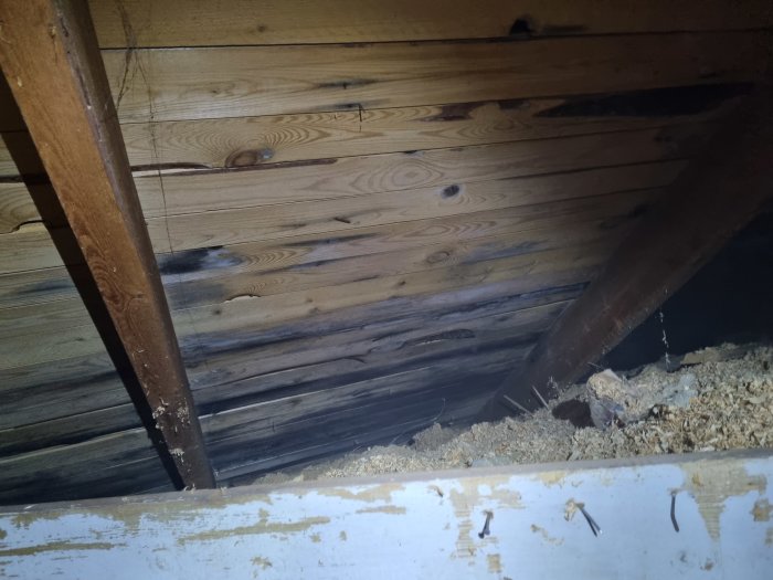 Takets råspont med svarta fläckar vid vindsvåningen, intill träbjälkar och isolering av sågspån.