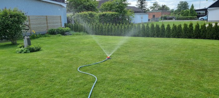 Spridare i drift vattenar gräsmatta med hus och växtlighet i bakgrunden.