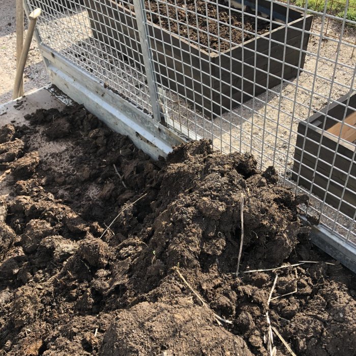 Hög med fjolårs-kobajja bredvid en odlingslåda klädd i byggplast, med nätstaket i bakgrunden.