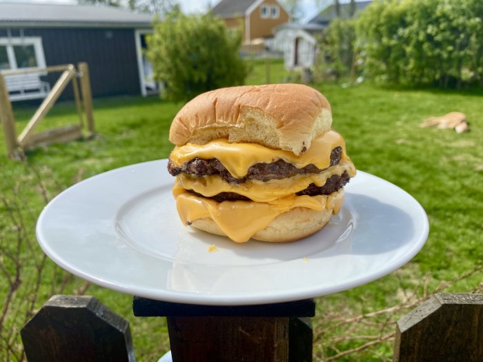 Dubbel cheeseburgare på en vit tallrik i en grön trädgård, ej pastasallad som diskuterades i inlägget.