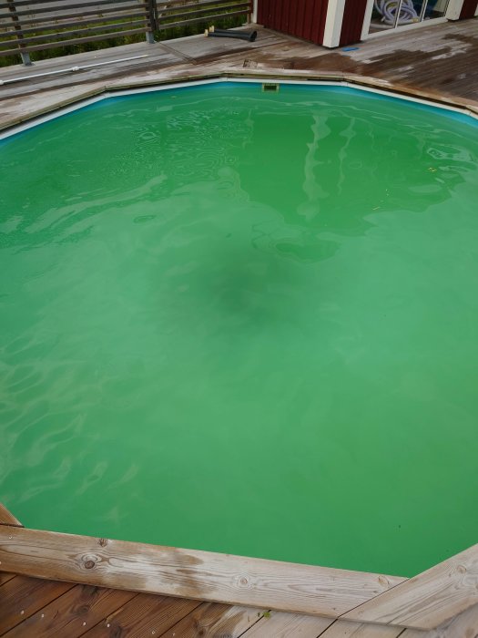Trädäck runt en ovanmarkspool med grönt vatten, behov av rengöring och underhåll.