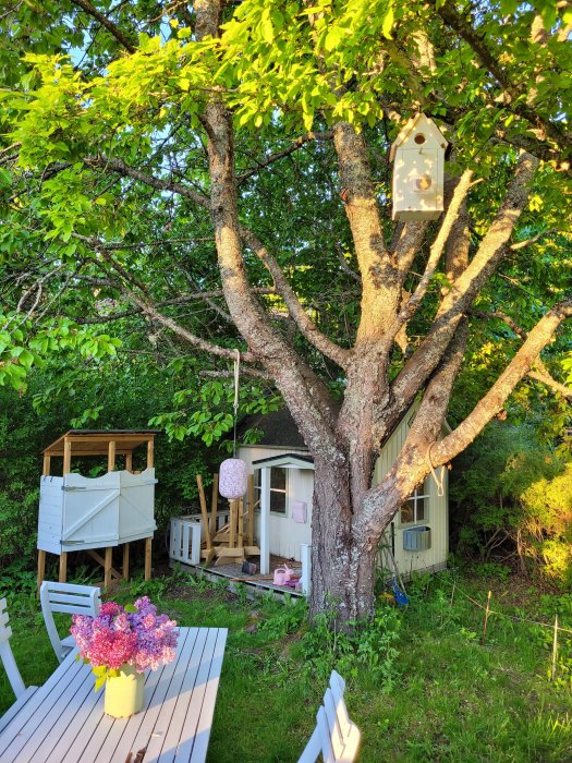 Trädgård med trädkoja och fågelholk i ett blommande träd, byggprojekt pågår i bakgrunden, förgrund med trädgårdsmöbler och blommor.