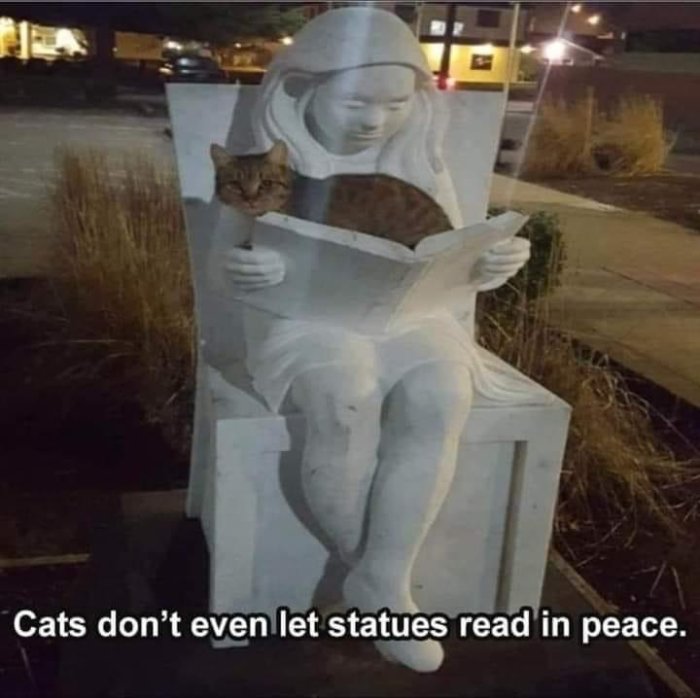 En levande katt sitter på en skulptur av en person som läser en bok utomhus under kvällstid.