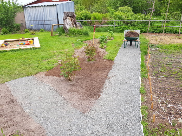 Nyplanterade buskar längs en nygjord grusgång med kantning i en trädgård.