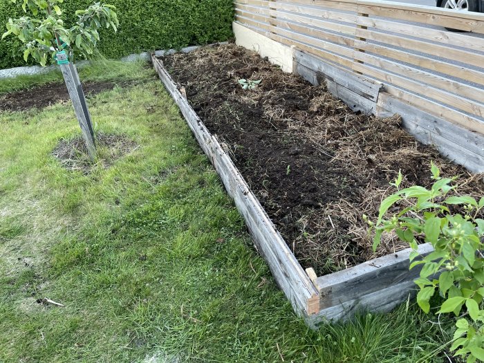 Nybyggd odlingsbädd för squash och pumpa med påhittad grav markerad av barn.