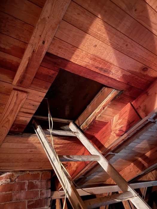 Träkonstruktion och stege i tak med öppning och fuktfläckar efter inregnande.