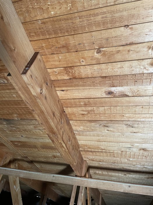 Innertak av trä med synliga takbjälkar och stavning, två dagar efter inregnande.
