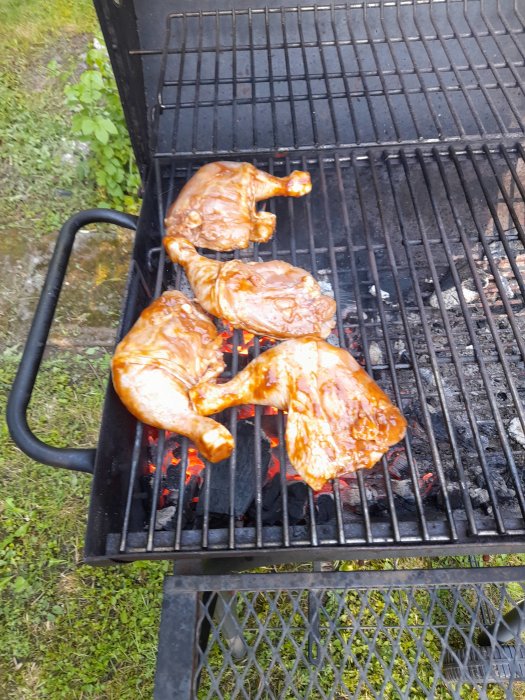 Marinerade kycklingklubbor som grillas på kolgrill utomhus.