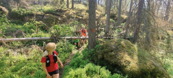 Två personer navigerar över en fallande trädstock i skogen.