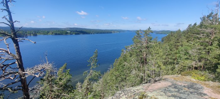 Vy från klipptopp över skogslandskap och sjö mot blå himmel en solig dag.