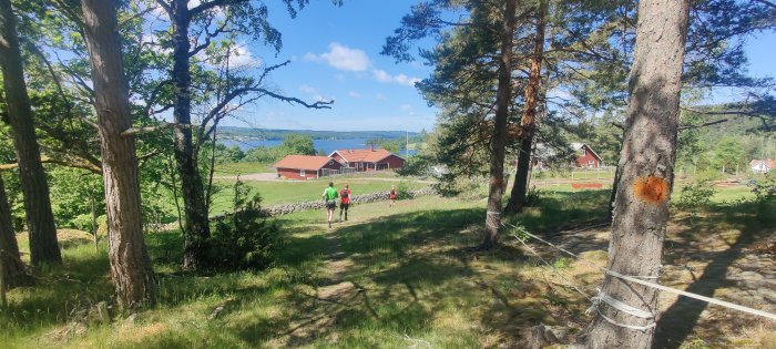 Naturvy med tre personer som joggar genom en skogsglänta, röda byggnader och hav i bakgrunden.