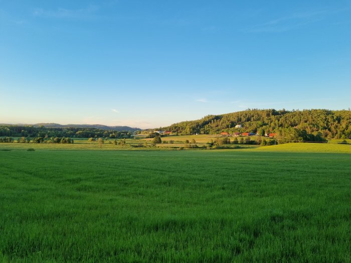 Lantlig vy med gröna fält och röda hus mot skogsbeklädda kullar under en klar himmel.