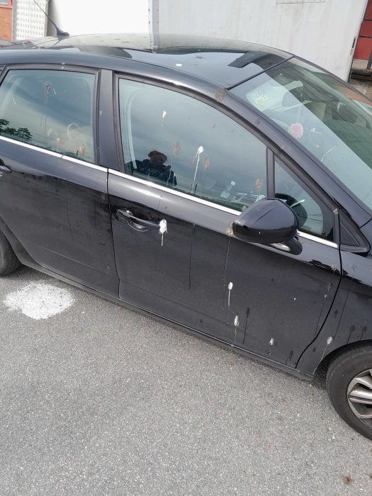 Svart bil med flera fågelspillningar på sidan och fönstret parkerad utomhus.