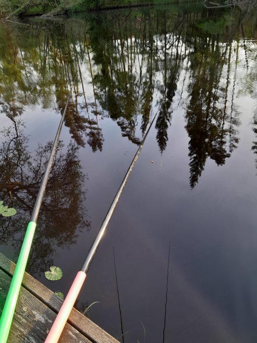 Fiskespön som sticker ut över en stilla sjö med spegling av träd i vattnet.