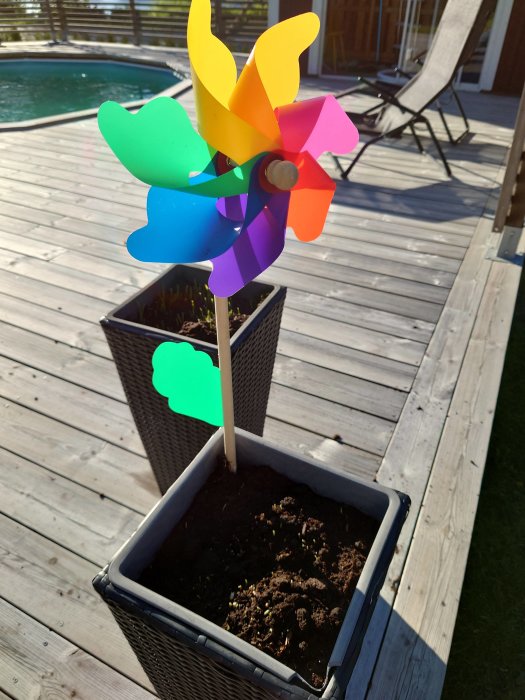 Färgglad vindspel i form av en blomma i kruka på trädäck med pool och solstol i bakgrunden.