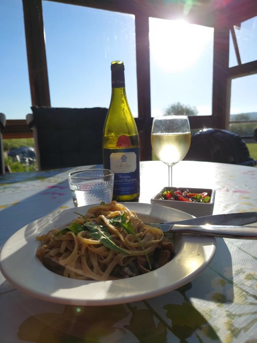 Måltid nära växthus vid solnedgång, tallrik med pasta, vinflaska, glas och salladsskål.