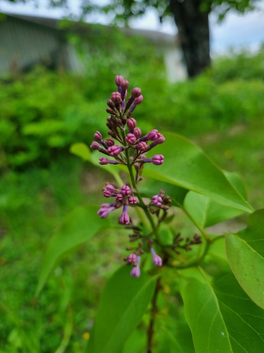20220608_201335.jpg