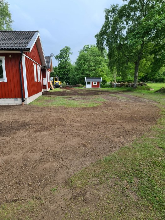 Ojämn gräsmatta under renovering, med en grävare i bakgrunden vid ett rött hus.