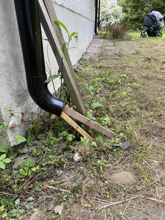 Husgrund med synligt stuprör och övervuxen, sjunken stenplatta vid husvägg, omgivet av vegetation.