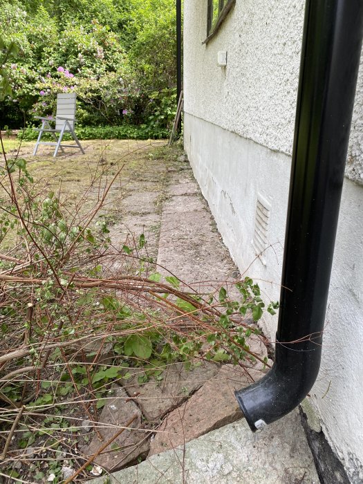 Gamla sjunkna stenplattor runt huset med ett stuprör och bortklippta buskar.