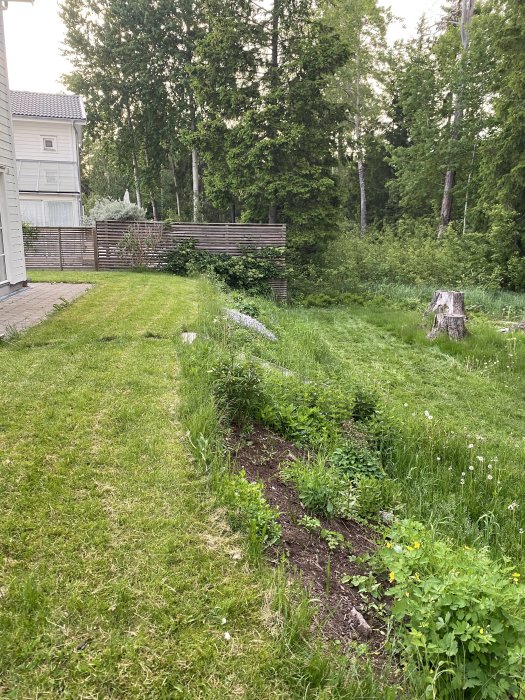 En sluttande trädgård med gräs och buskar bakom ett hus, potentiell plats för stödmur och lekyta.