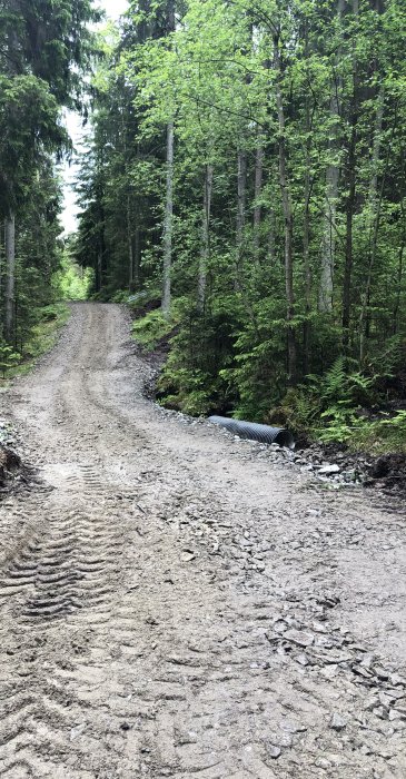 Halvvägs renoverad skogsväg med grovt grus och nytt dräneringsrör i grönskande skogslandskap.