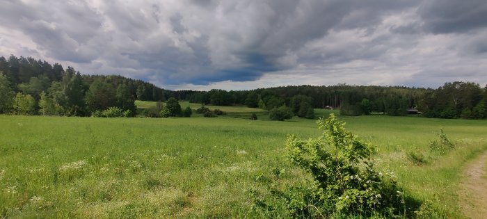 Lantlig vy med öppet grönt fält, träd, molnig himmel och en stig i förgrunden.