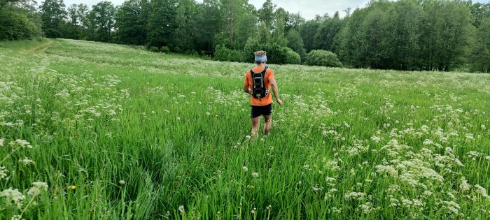 Person vandrar genom lummig äng med högt gräs och vita blommor, bär ryggsäck och är klädd i orange tröja och shorts.