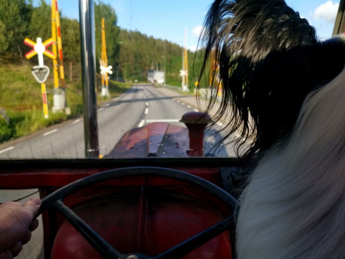 Hund som tittar ut från en röd traktor, med vy över en landsväg och järnvägskorsning.