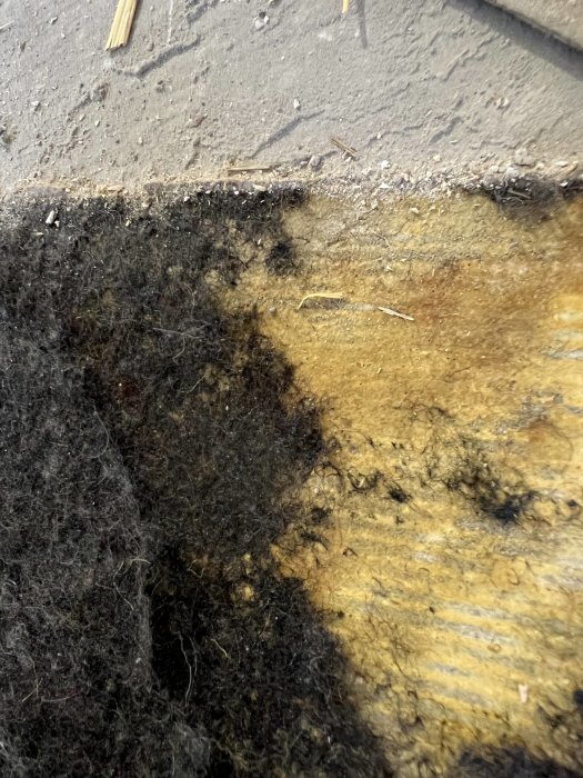 Gammal, avskrapad linoleummatta med svart misstänkt asbestlim på betong.