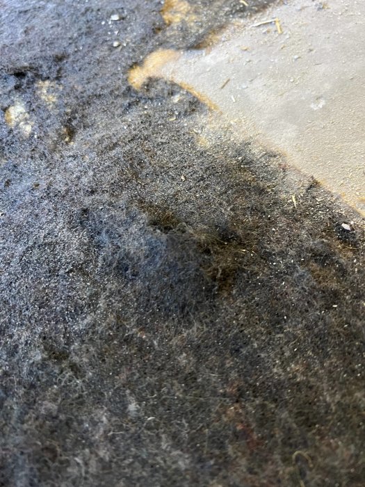 Gammal linoleummatta med svart lim på betonggolv, möjlig asbestexponering.