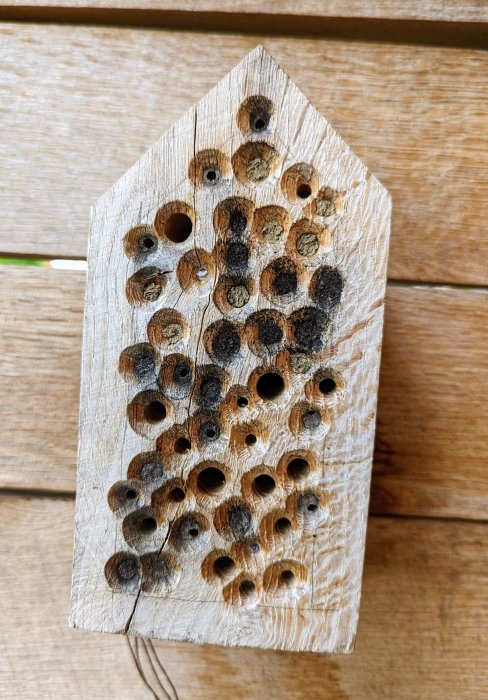 Insekthotell av trä med hål av olika storlekar, vissa tilltäppta och andra öppna.