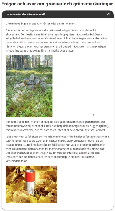 En traditionell gränsmarkering av sten i en skog och ett modernt rör som gränsmarkör omgiven av höstlöv.