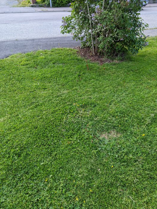 PXL_20220609_175901131.jpg