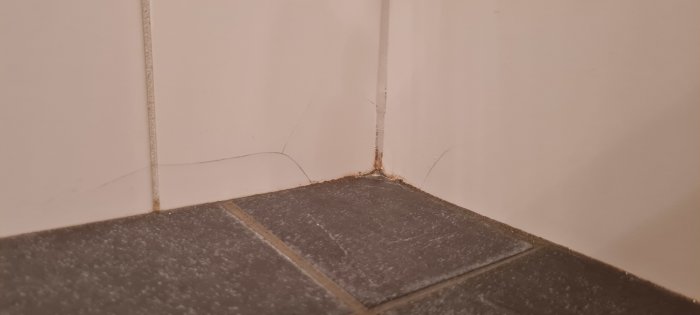 Hårfina sprickor i vitt kakel ovanför mörkt klinkergolv vid hörnfog med smutsansamling.