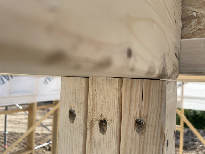 Limträbalk som vilar på ojämnt kapade spiklimmade reglar i en byggkonstruktion.
