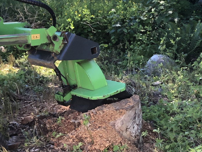 Maskin för stubbfräsning i arbete på en stubbe omgiven av grönska.