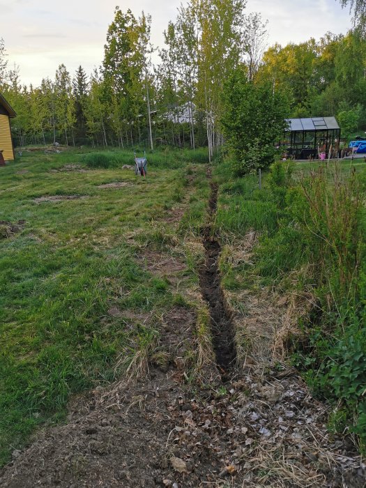 Nygrävd tränghål för häckplantering genom en gräsmatta, med verktyg och grönska i bakgrunden.