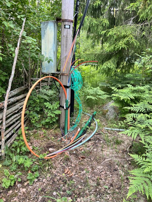 Kablar och fiber som är slarvigt uppdragna och löst hängande på en stolpe i skogsmiljö.