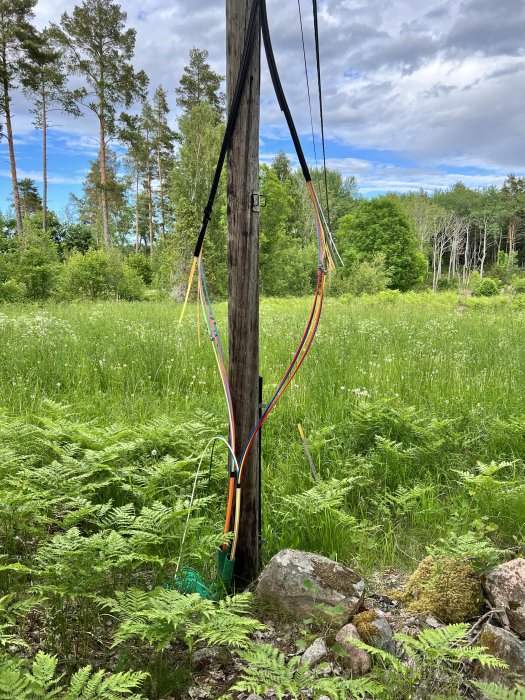 Oorganiserade och löst hängande fiberkablar på en stolpe ute i naturen med skog i bakgrunden.