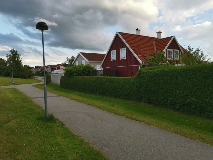 Tät ligusterhäck vid trottoar med ett rött hus och molnig himmel i bakgrunden.