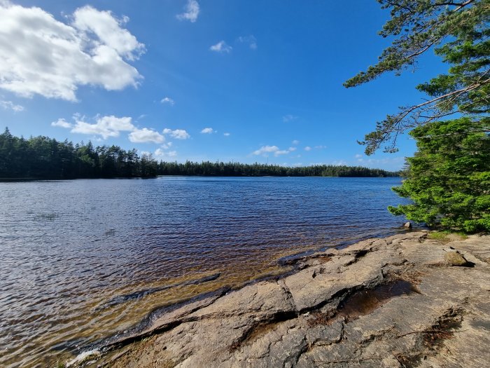 Solbelyst sjö med omgivande skog och klippig strand under en klarblå himmel med några moln.