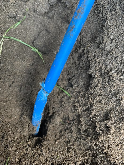 Klämd blå fiberkabel i jord med synlig skada och omgivande jord och gräs.